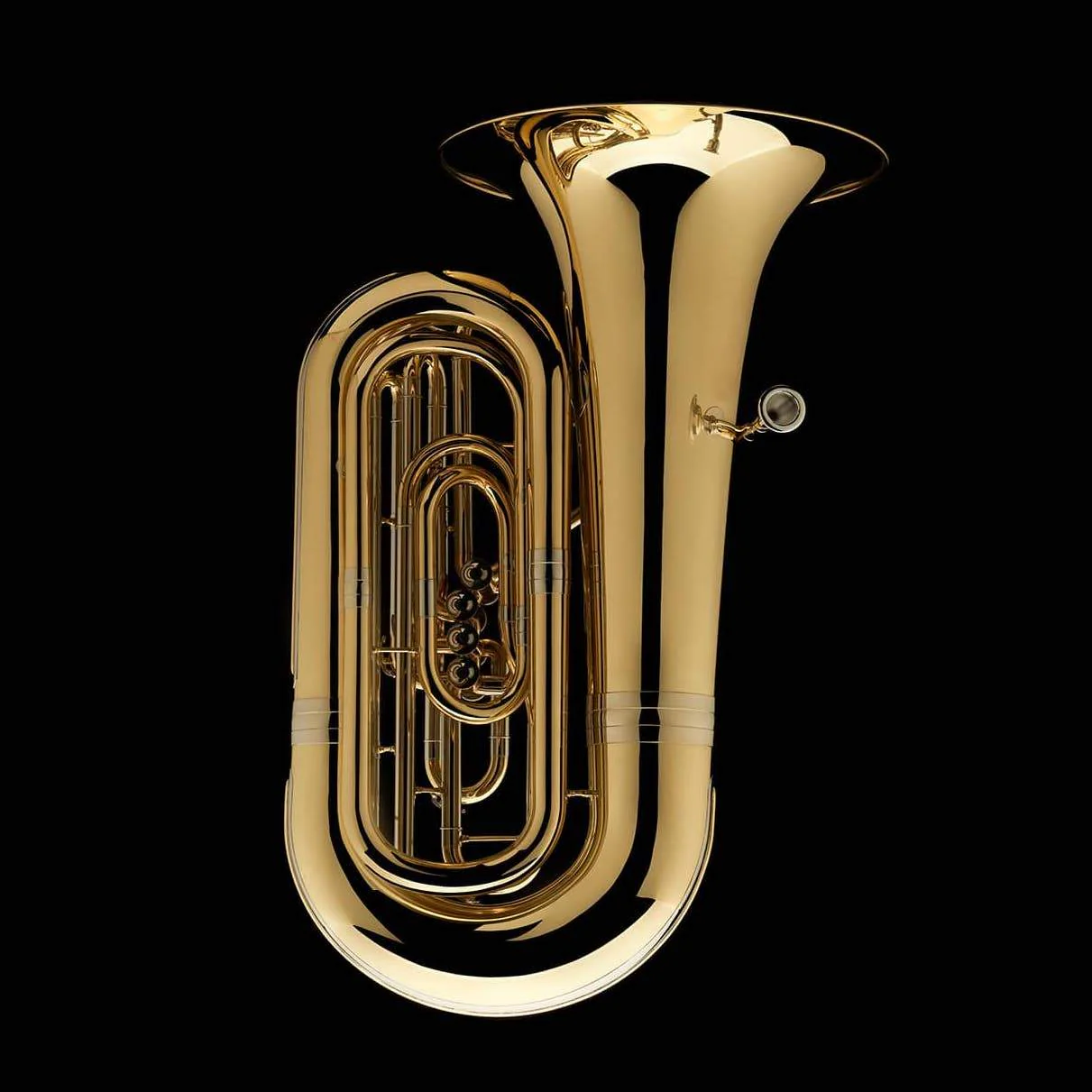 BBb 4/4 Tuba with 4-valves 'Dragon' - TB484 - Image 4