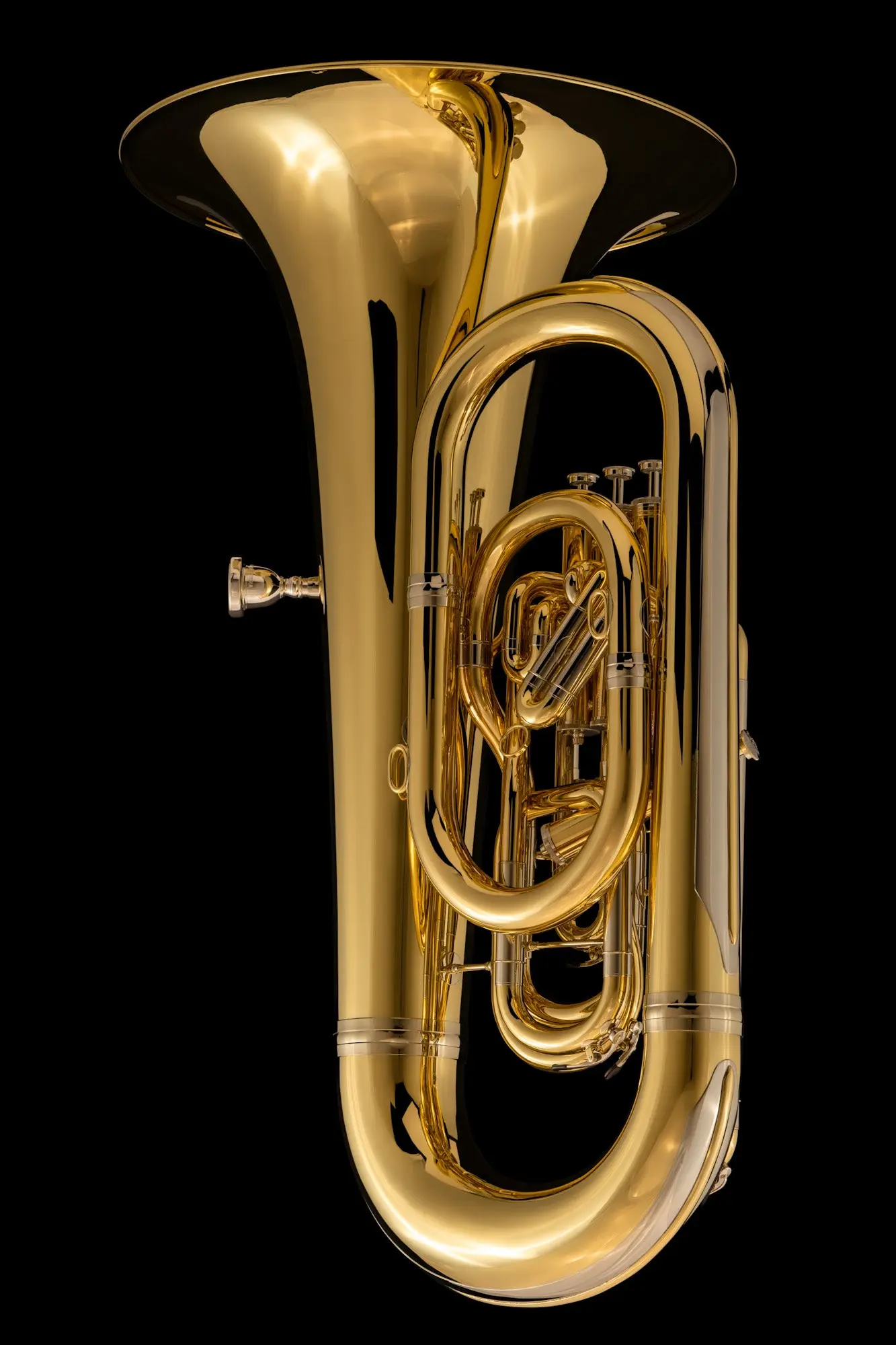Eb Compensated Bass Tuba ‘Prelude’ – TE260 - Image 3