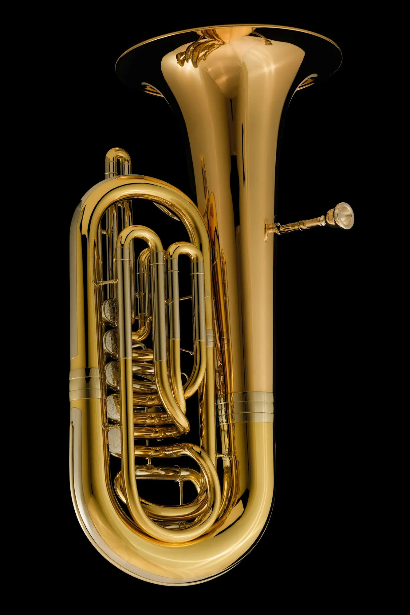 Eb Rotary Tuba ‘Danube’ – TE495 - Image 4