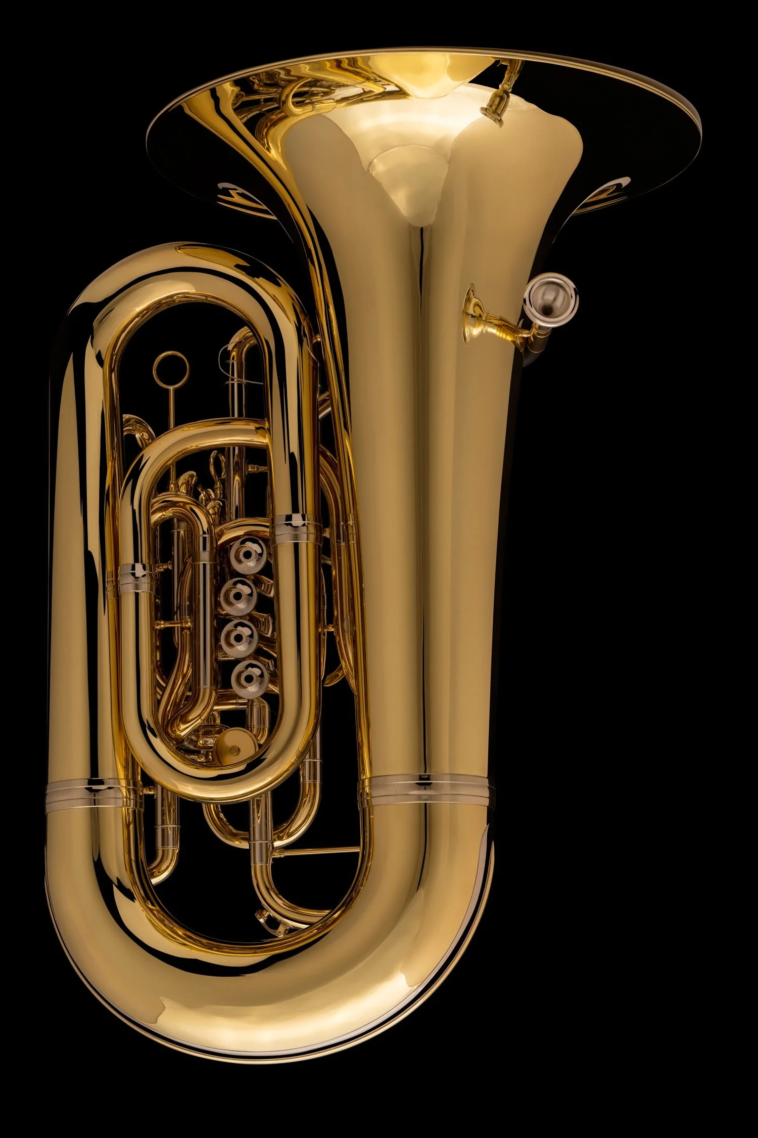 6/4 Eb Tuba ‘Tubby’ - TE665HP - Image 11