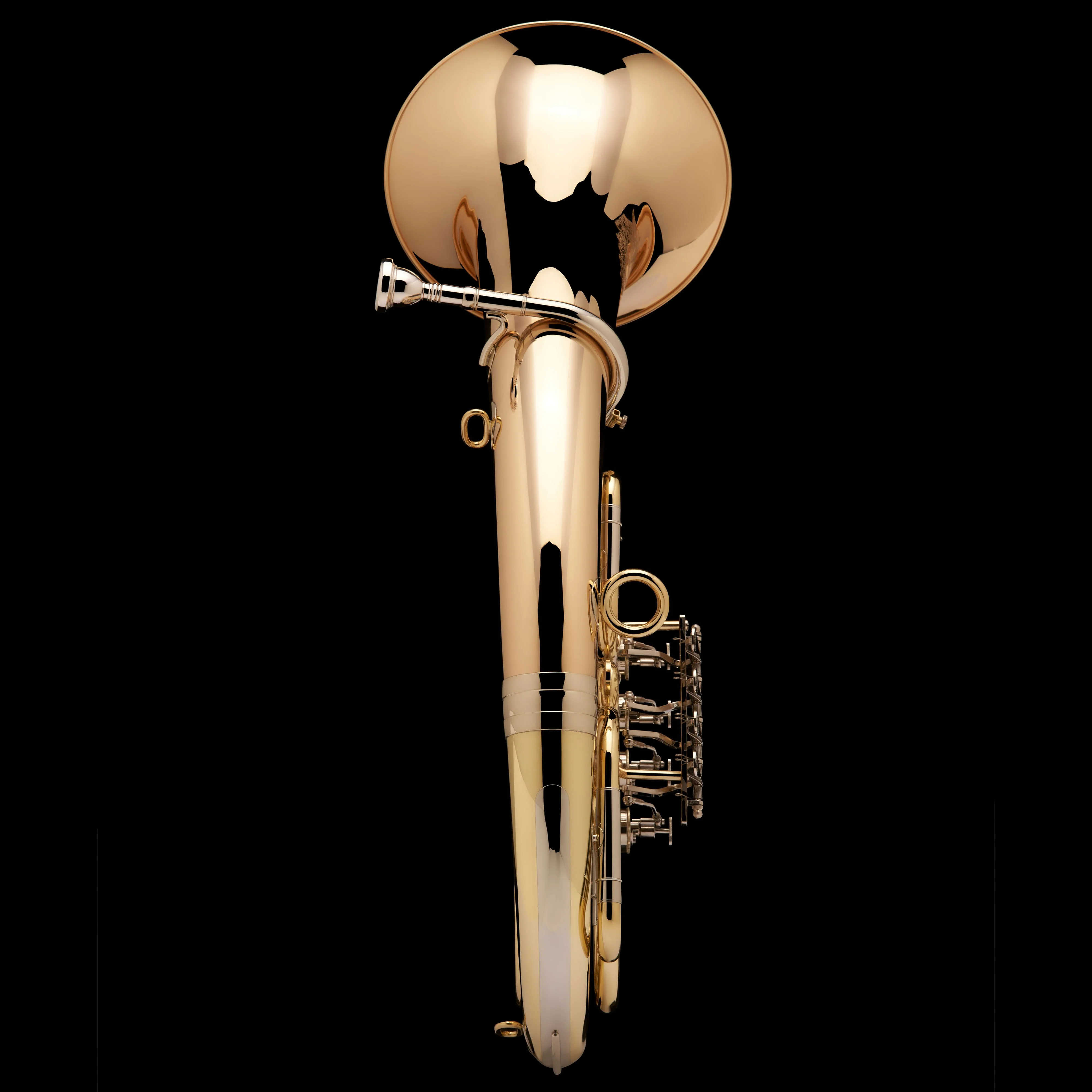 Kaiser Baritone – ER120 - Image 4