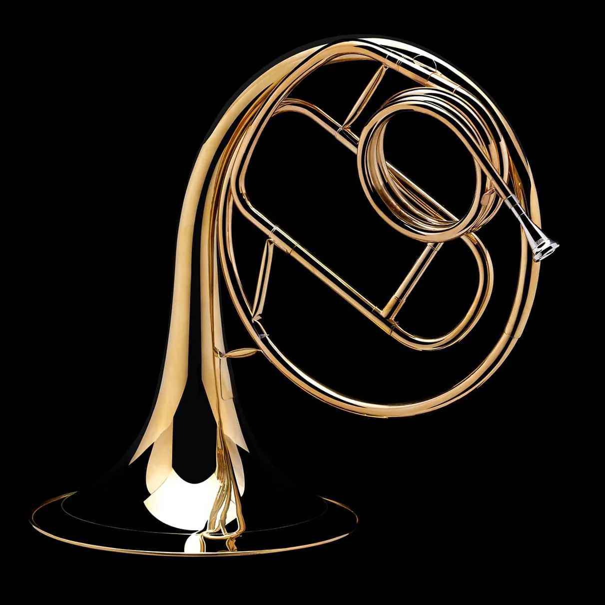 Natural Horn – FH790 - Image 5