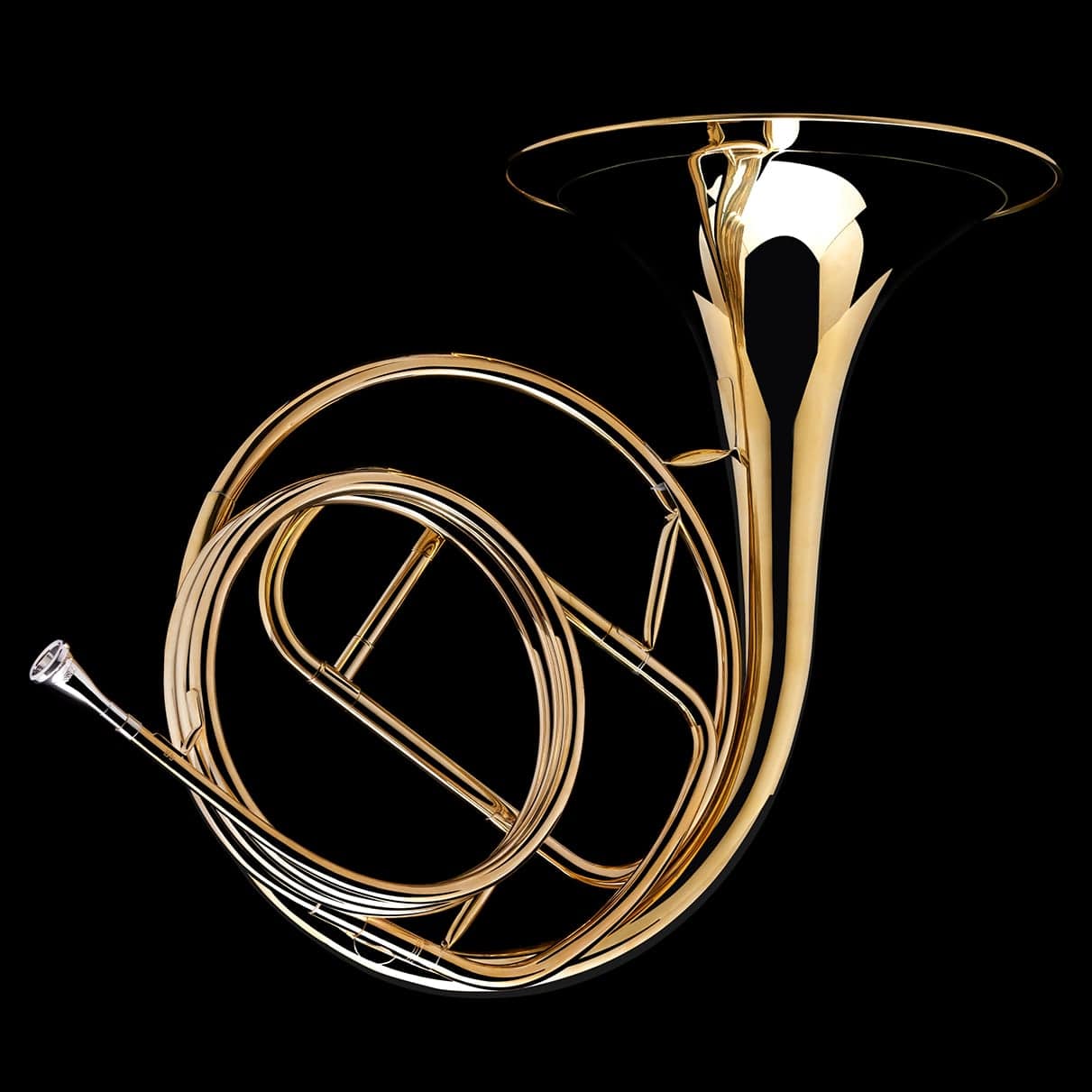 Natural Horn – FH790 - Image 6
