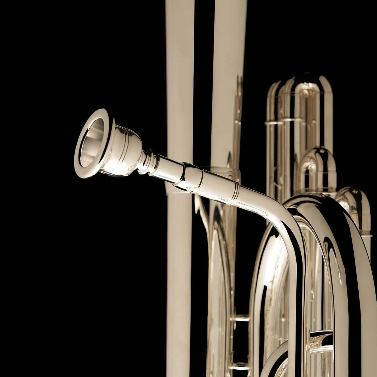 Over-the-Shoulder Eb Saxhorn - OTS - Image 16